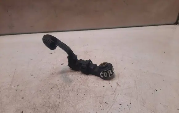 Opel Corsa C Detonation knock sensor 0261231173