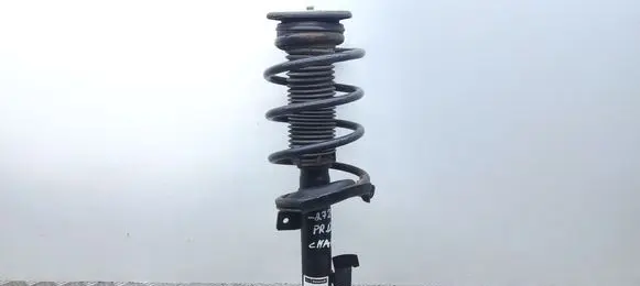 Ford C-MAX I Front shock absorber with coil spring 1919323