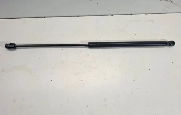 Tailgate/trunk strut/damper