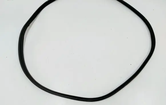 BMW X3 G45 Front door rubber seal 5A31962