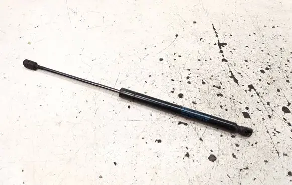 Tailgate/trunk strut/damper