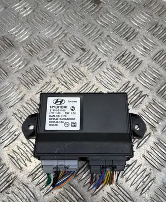 Hyundai Santa Fe Other control units/modules 81870S1100