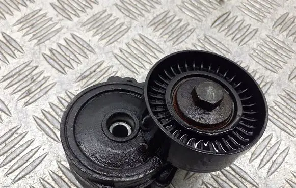 Peugeot 407 Alternator belt tensioner pulley 505424