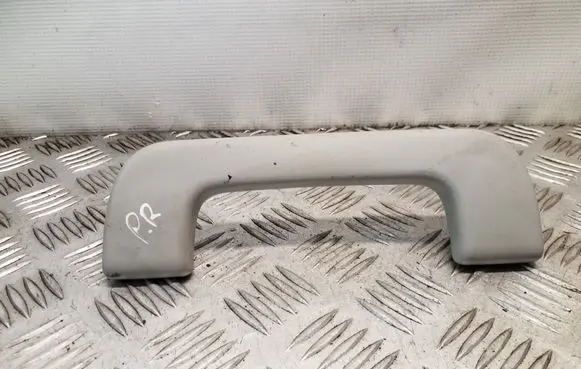 Front interior roof grab handle