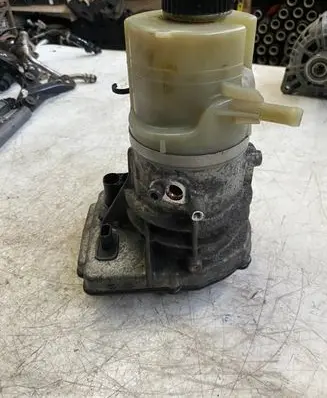 Opel Vivaro Power steering pump 491100616R