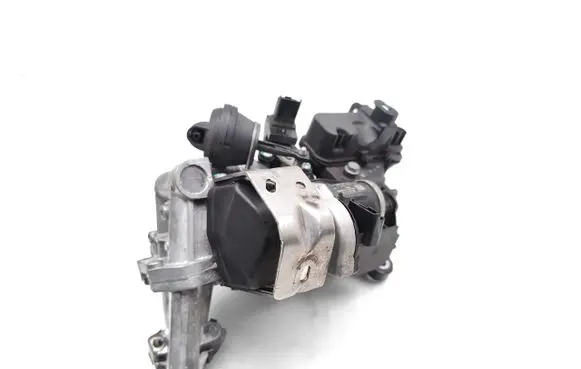 EGR valve