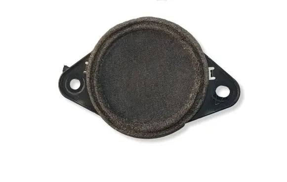 Panel speaker