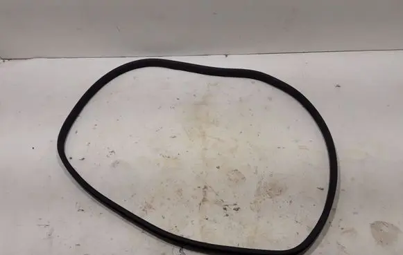 Renault Zoe Front door rubber seal 808324593R