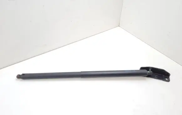 Opel Insignia B Tailgate/trunk strut/damper 39123319 39085566 8965145