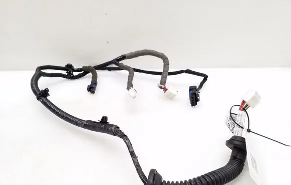 Rear door wiring loom