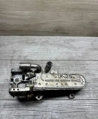 Skoda Octavia Mk2 (1Z) EGR valve cooler 13210275 038131513AD