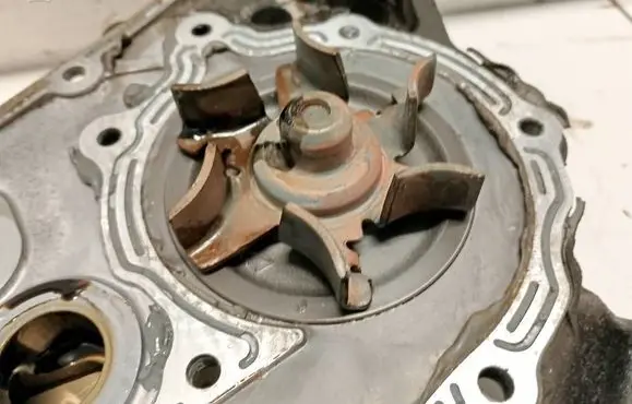 Nissan Murano Z50 Water pump wavq1