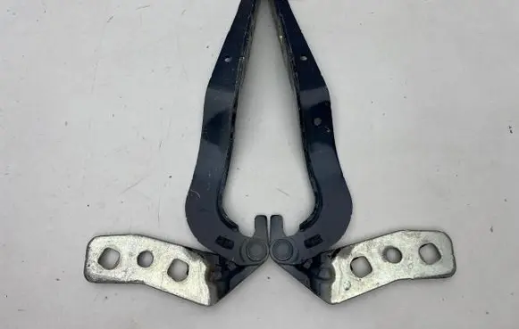 Ford Kuga III Engine bonnet/hood hinges LJ6BS16800AB