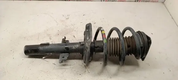 Renault Scenic IV - Grand scenic IV Front shock absorber/damper 