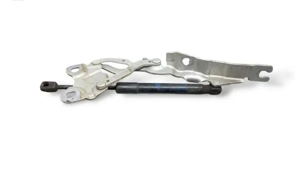 Mini Paceman (R61) Engine bonnet/hood hinges 9801569 ES03