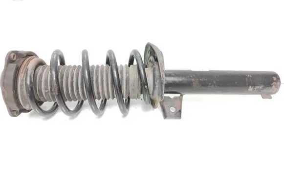 Volkswagen PASSAT B6 Front shock absorber/damper 3C0413031AA 824904002054 VW461ZFV204