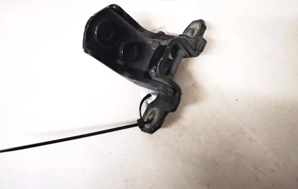Renault Espace - Grand espace IV Rear door lower hinge