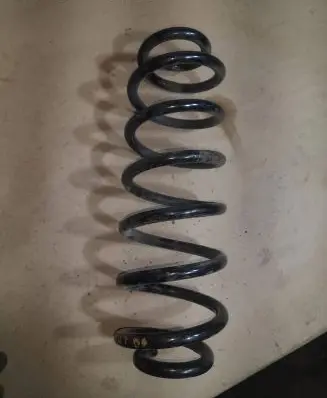 Volkswagen PASSAT B6 Rear coil spring