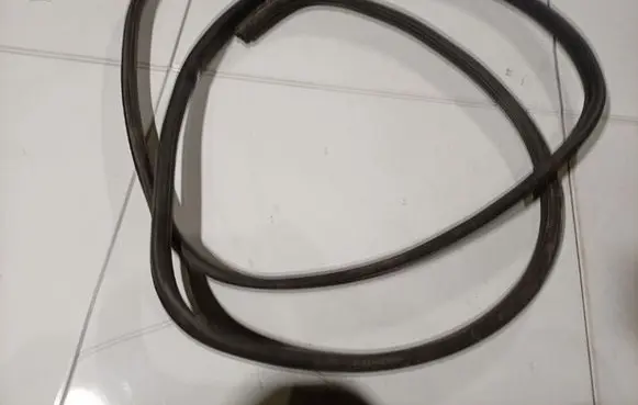 Renault Scenic I Rubber seal front coupe door 