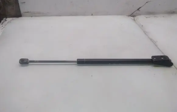 Tailgate/trunk strut/damper