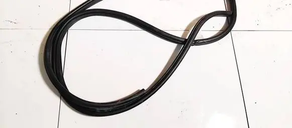 Chevrolet Captiva Rubber seal front coupe door 