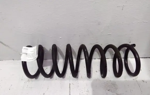 Rear coil spring