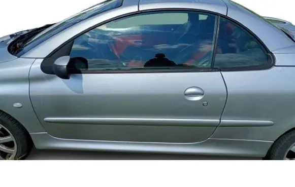 Peugeot 206 CC Front door 