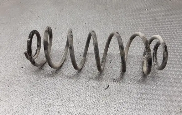 Rear coil spring