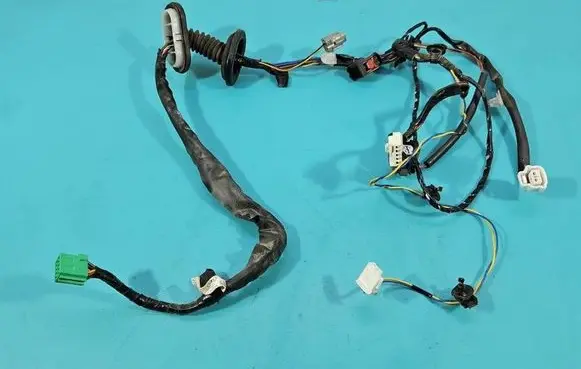 Front door wiring loom