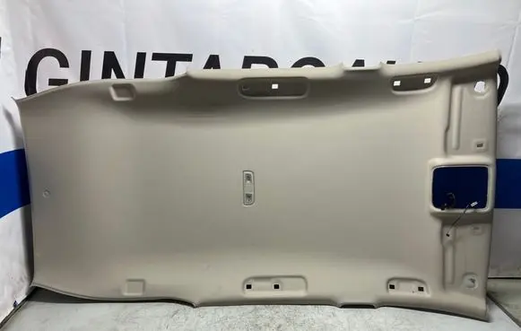 Opel Insignia B Headlining 391339950