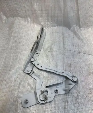 Ford C-MAX II Engine bonnet/hood hinges AM51R16801AF