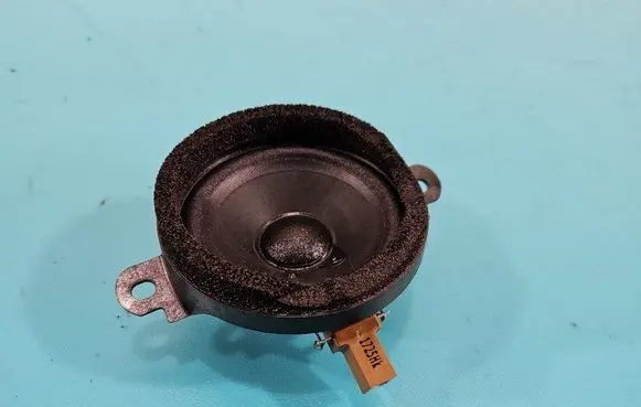 Front door speaker