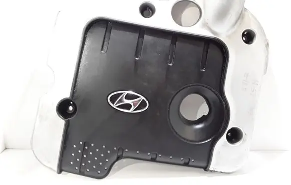 Hyundai Santa Fe Engine cover (trim)