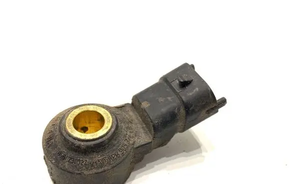 Porsche Panamera (970) Detonation knock sensor 0261231322