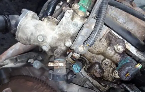 Citroen Xsara Engine coolant pipe/hose