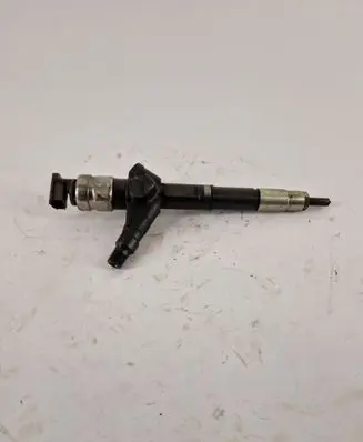 Nissan Pathfinder R51 Fuel injector 16600EC00A