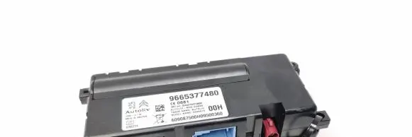 Citroen C5 Other control units/modules