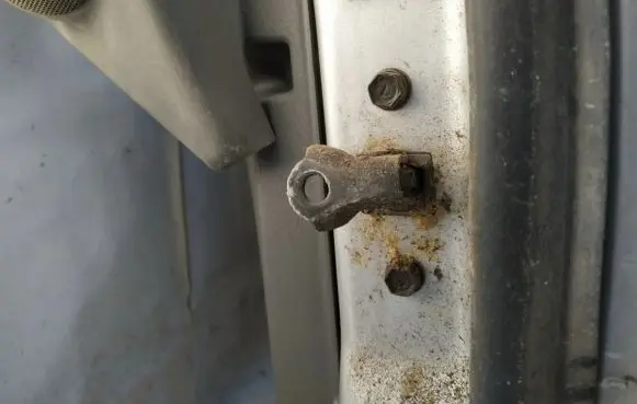 Hyundai Santa Fe Front door check strap stopper 