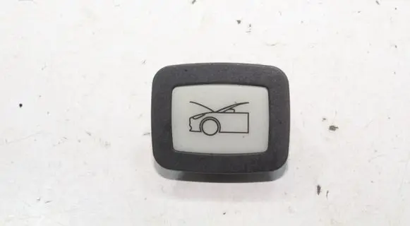 Tesla Model Y Engine bonnet (hood) release handle 151618500A