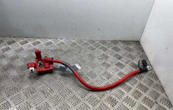 BMW 5 GT F07 Positive cable (battery) 9217035