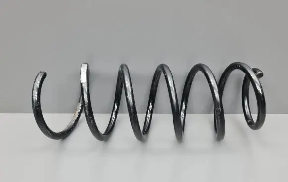 Front coil spring