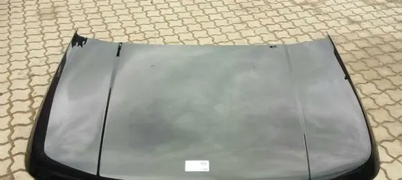 Land Rover Range Rover Sport L320 Engine bonnet/hood