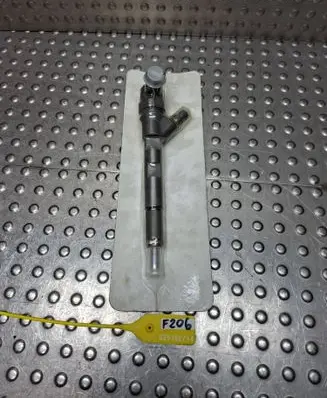 Chrysler Voyager Fuel injector 0445110059 05066820AA