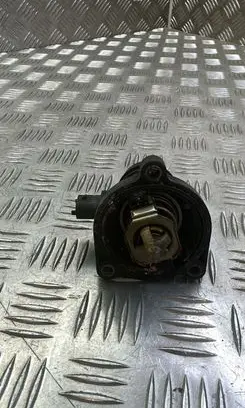 Thermostat/thermostat housing