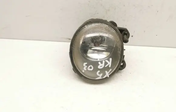 BMW X5 E53 Front fog light 13101610