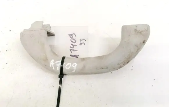 Volkswagen PASSAT B6 Front interior roof grab handle