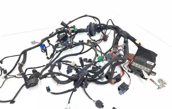 Renault Talisman Other wiring loom 403885232R 2675