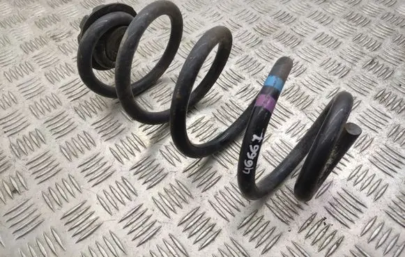 Nissan Qashqai+2 Rear coil spring