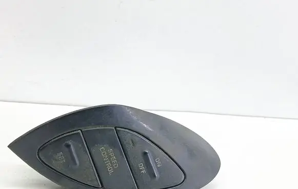 Chrysler Voyager Steering wheel buttons/switches 4685545