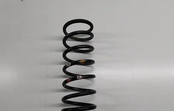 Ford C-MAX II Rear coil spring DV615560FHB